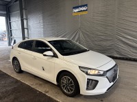 Lot 1001