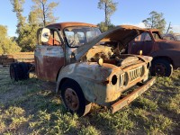 Lot 202