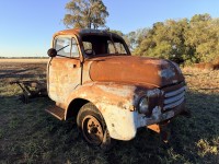 Lot 207
