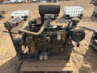 Lot 207