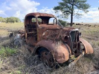 Lot 330