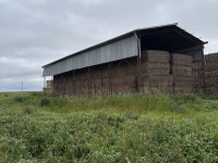 Lot 4