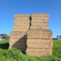 Lot 9