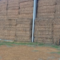 Lot 6