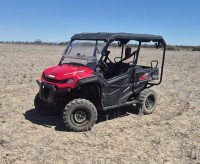 Lot 55