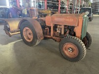 Lot 19