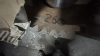 Lot 260